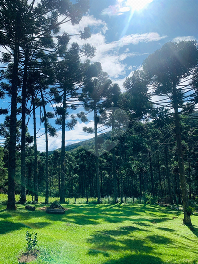 Foto REO1109643