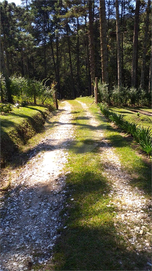 Foto REO1109643