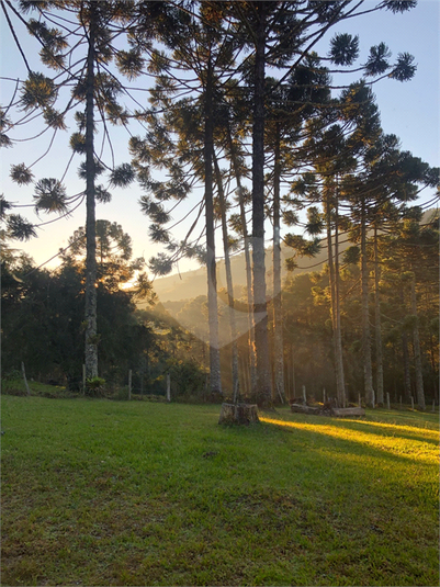 Foto REO1109643