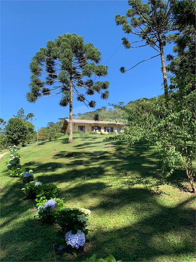 Foto REO1109643