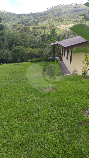 Foto REO1109643