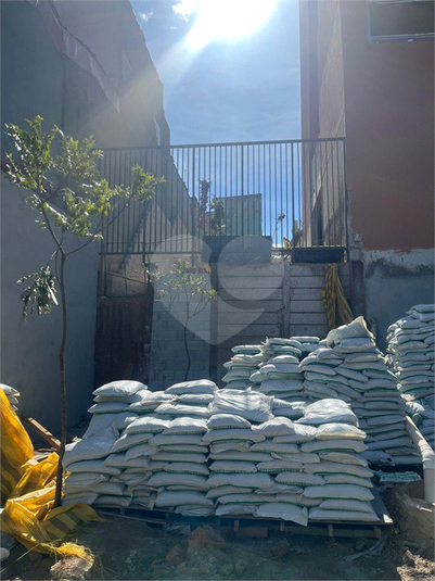 Foto REO1109662