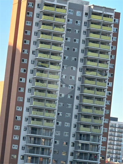 Foto REO1109662