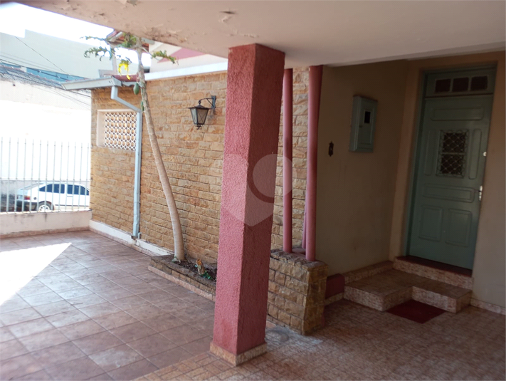 Foto REO1109669