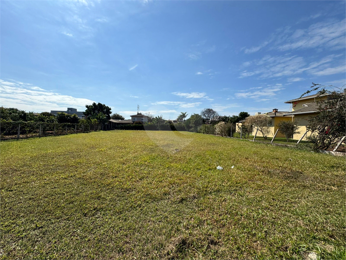 Foto REO1109672