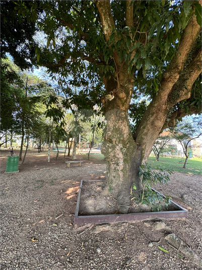 Foto REO1109672