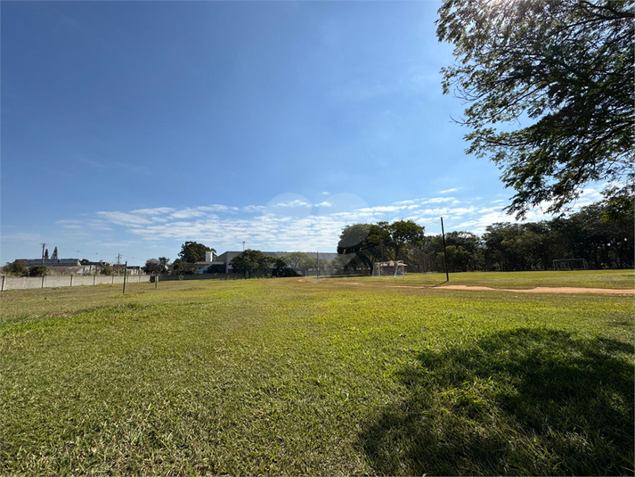 Foto REO1109672