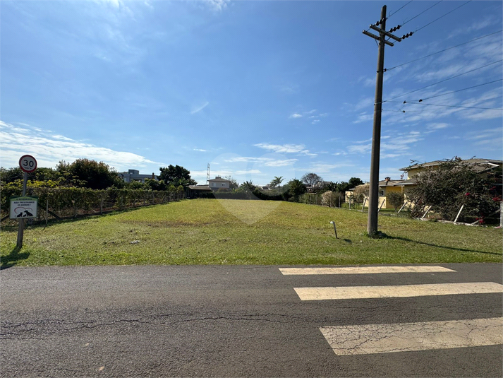 Foto REO1109672