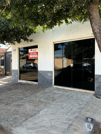 Foto REO1109674