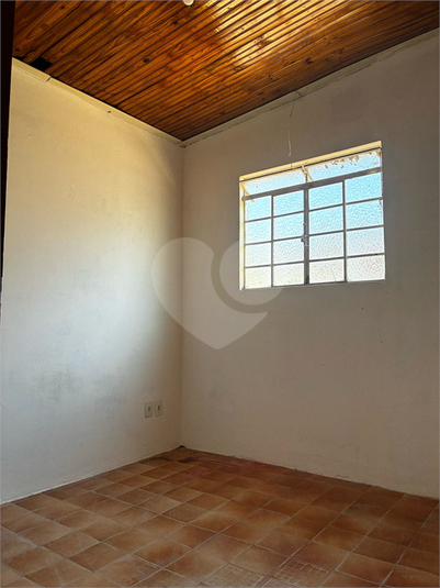 Foto REO1109674
