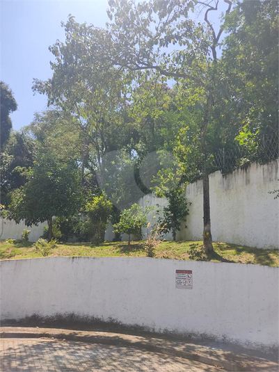 Foto REO1109676