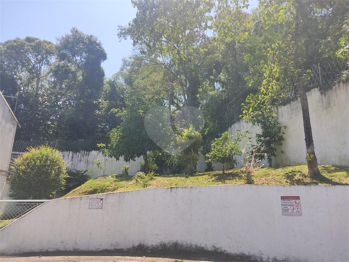 Foto REO1109676