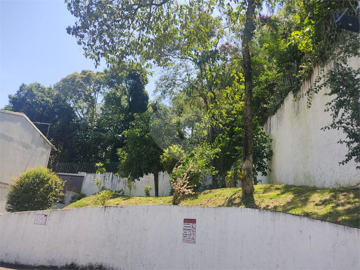 Foto REO1109676