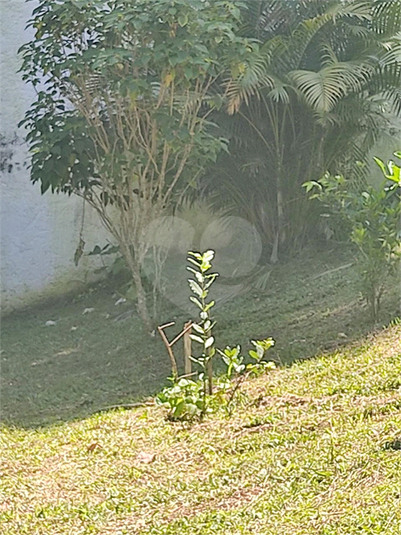 Foto REO1109676