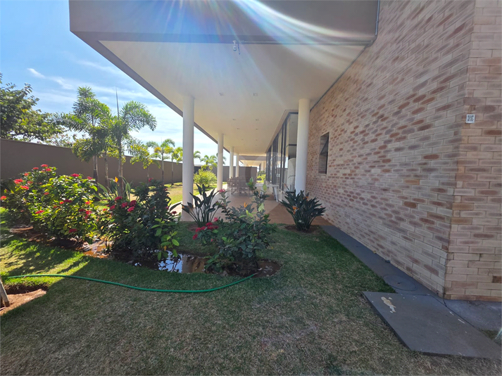 Foto REO1109681