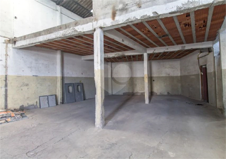 Foto REO1109692