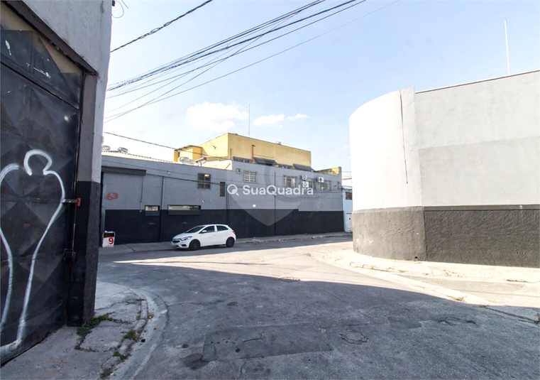 Foto REO1109692