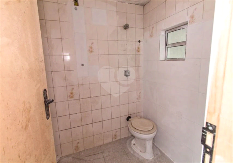 Foto REO1109692
