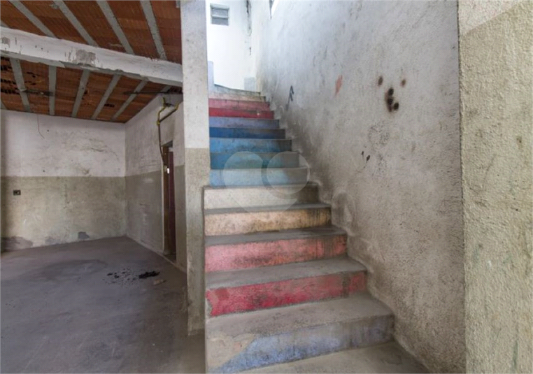Foto REO1109692