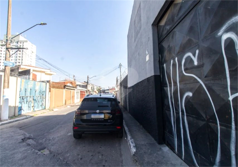 Foto REO1109692