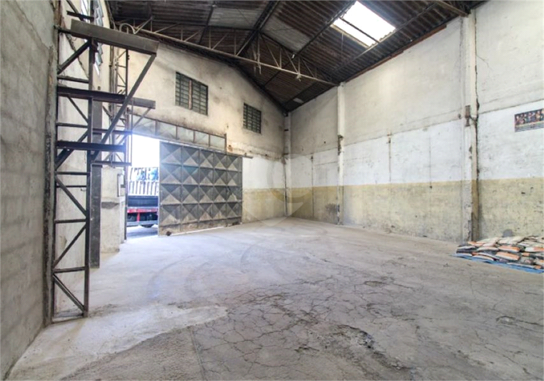Foto REO1109692