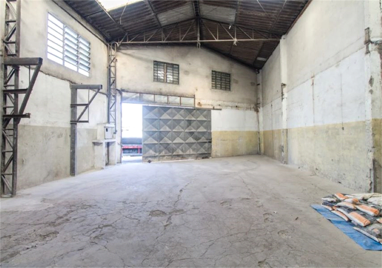 Foto REO1109692
