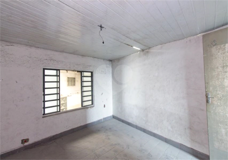 Foto REO1109692