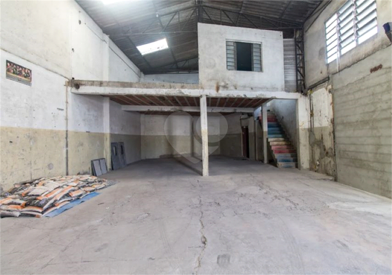 Foto REO1109692