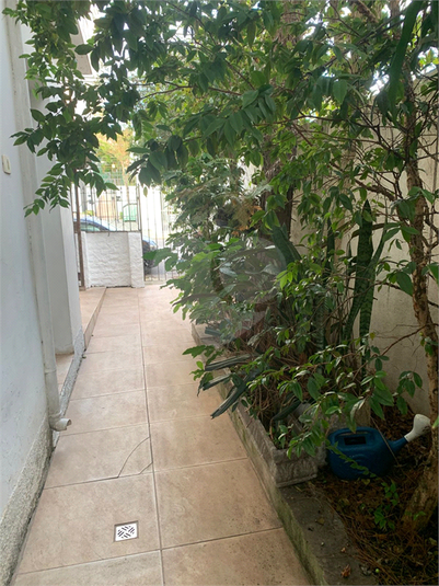 Foto REO1109716