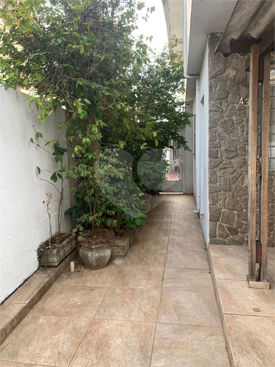 Foto REO1109716