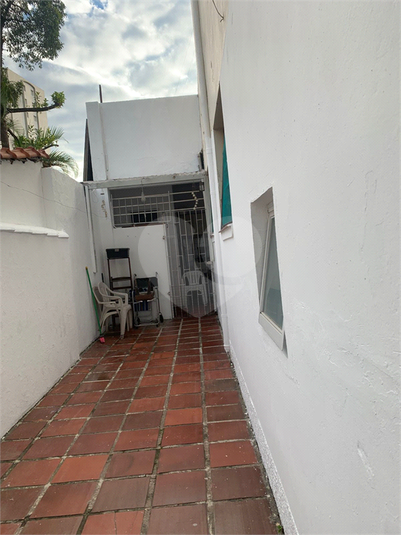 Foto REO1109716