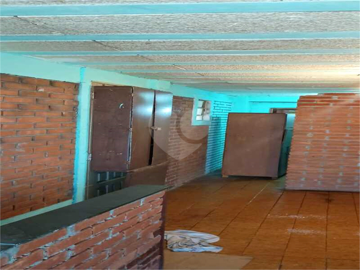 Foto REO1109734