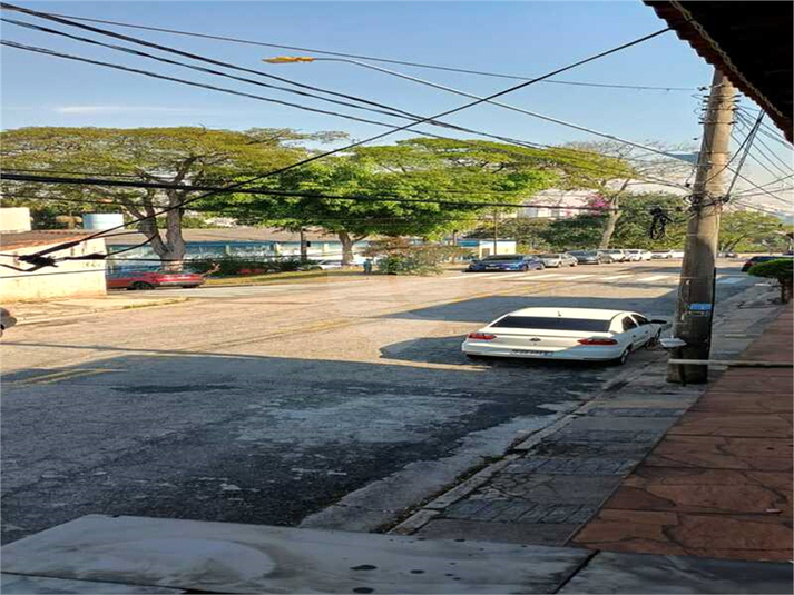 Foto REO1109734