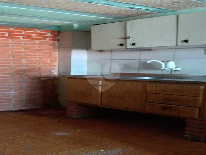 Foto REO1109734