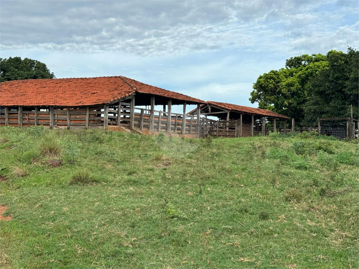 Foto REO1109750