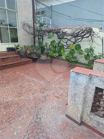 Foto REO1109755