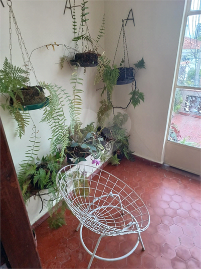 Foto REO1109755