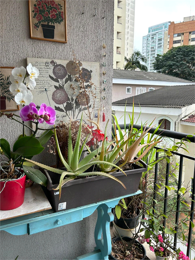 Foto REO1109758