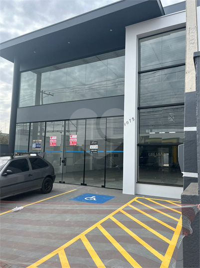 Foto REO1109761