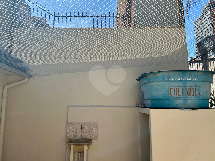 Foto REO1109768