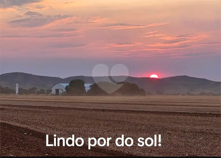 Foto REO1109773