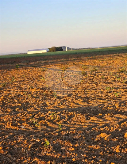 Foto REO1109773