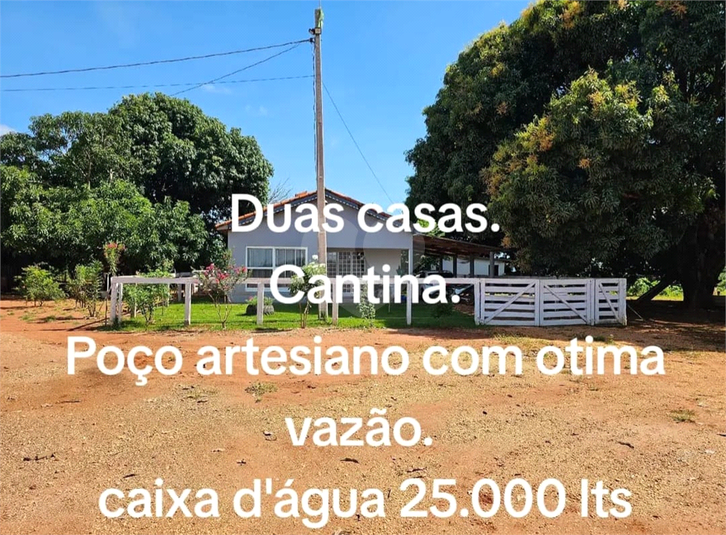 Foto REO1109773