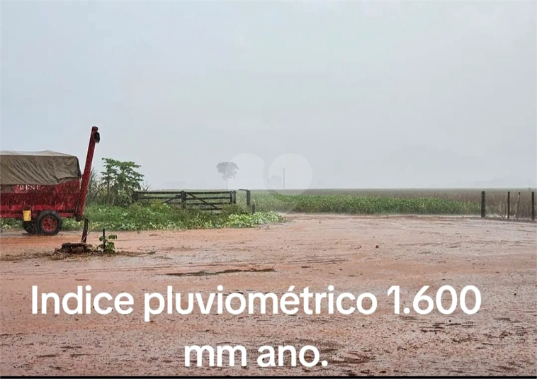 Foto REO1109773