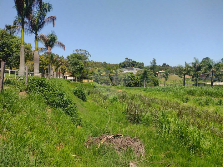 Foto REO1109784