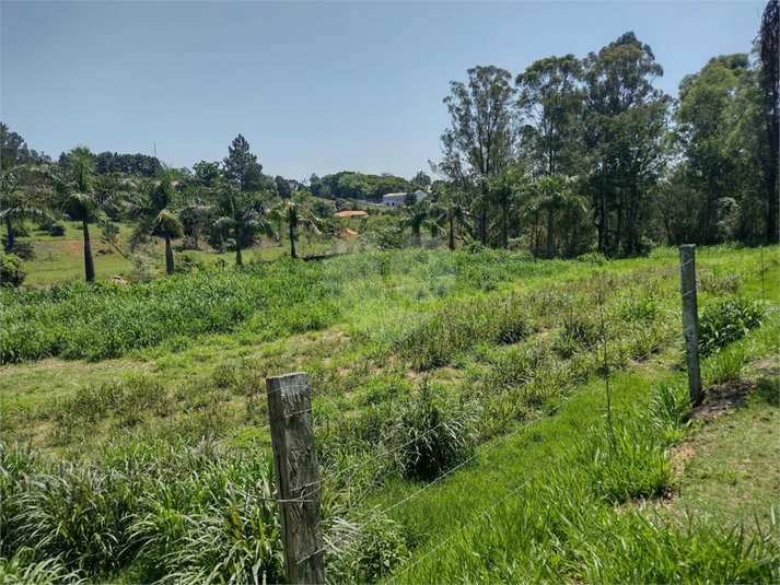 Foto REO1109784