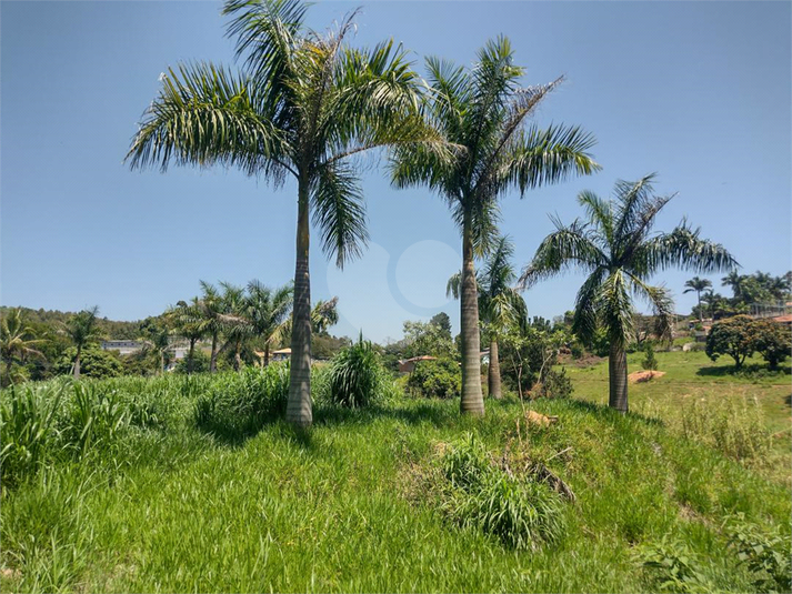 Foto REO1109784