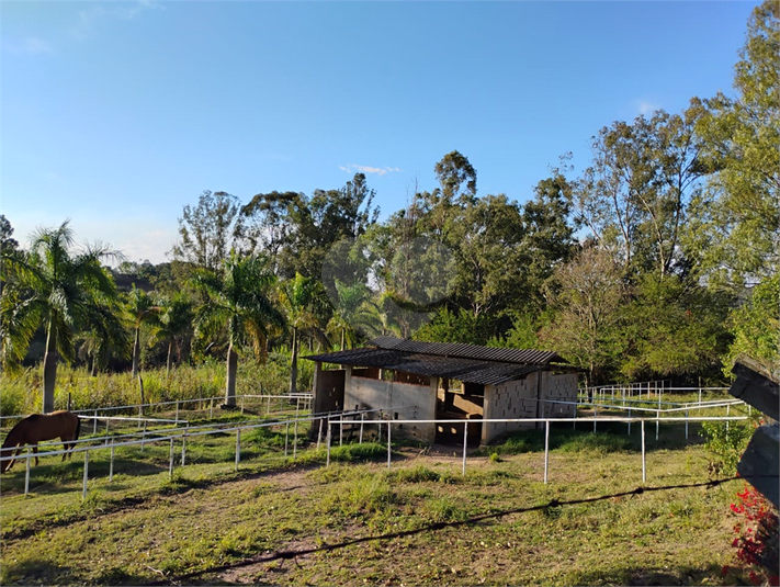 Foto REO1109784