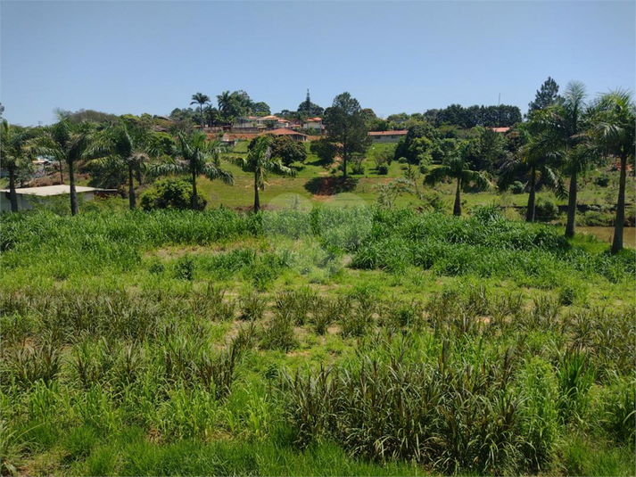 Foto REO1109784