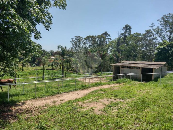 Foto REO1109784